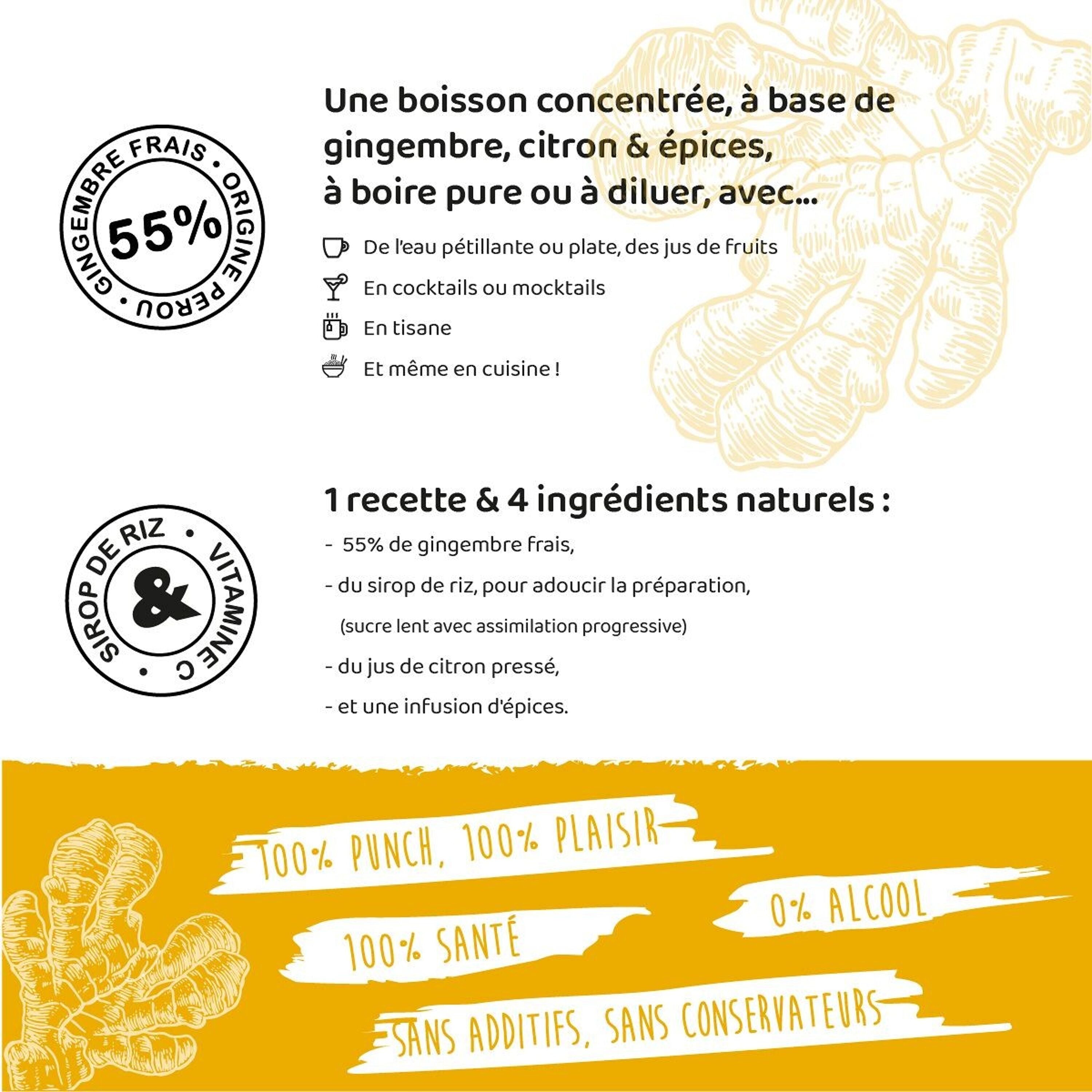 Le Ginger Gopy Classique BIO