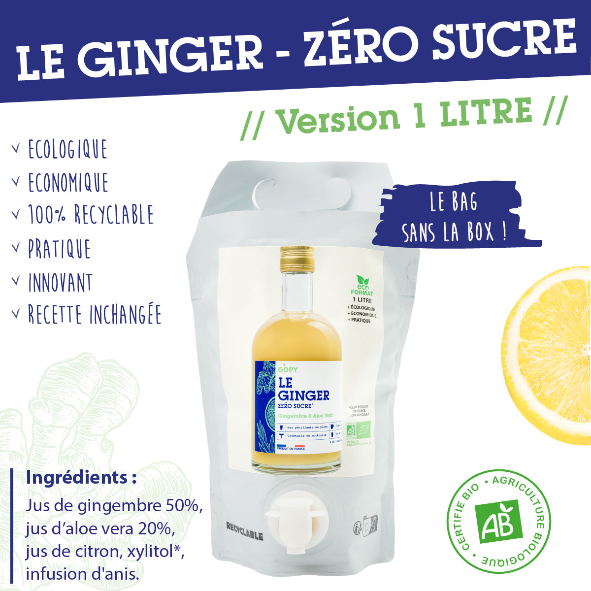 Le Ginger Aloe Vera Réduit en Sucre Pouch 1 litre