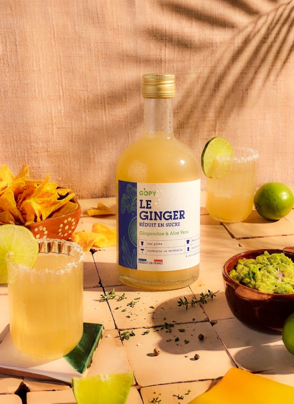 Le Ginger Gopy concentré aloe vera 500ml réduit en sucre bio