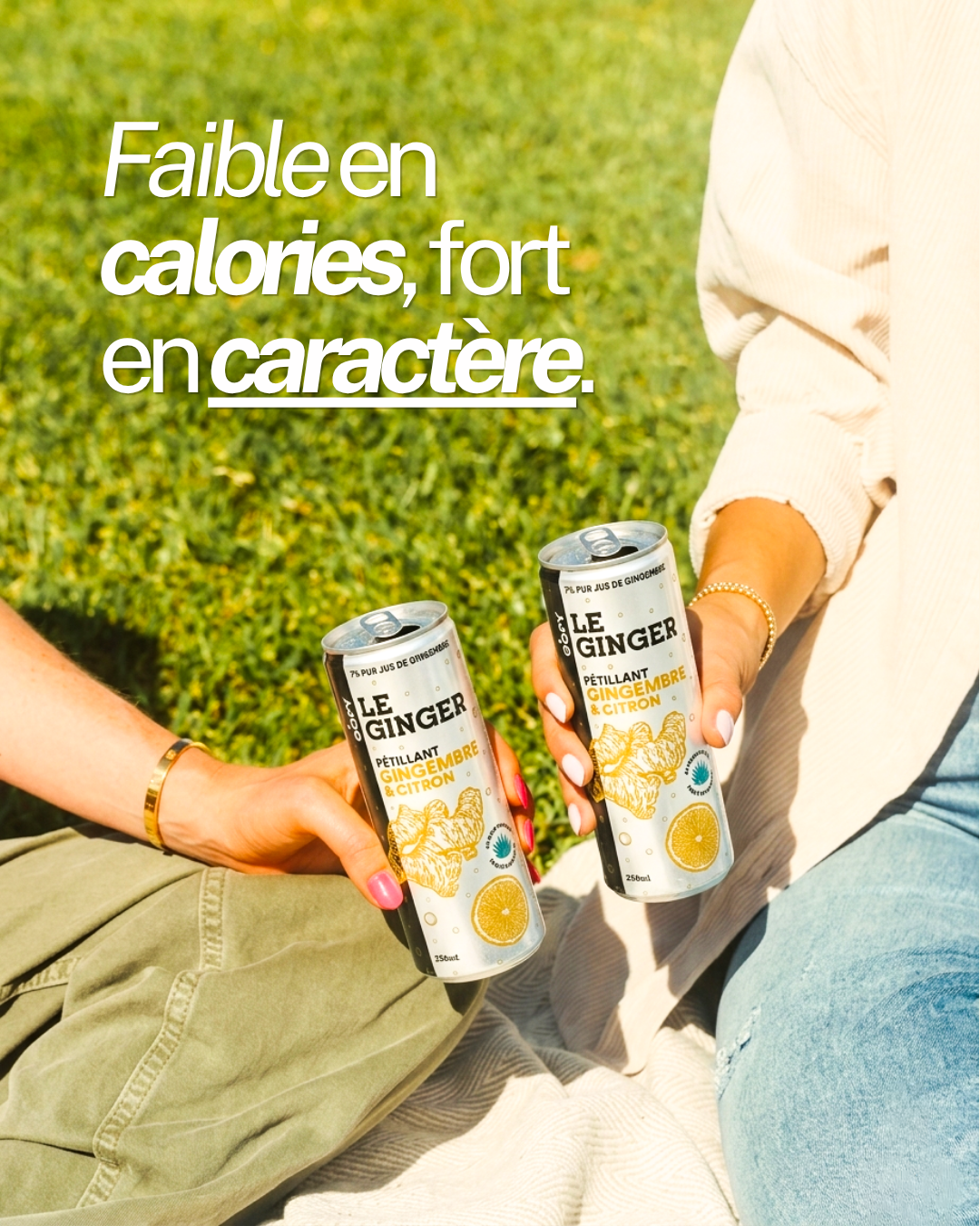 Le Ginger Pétillant — Pack 12 canettes