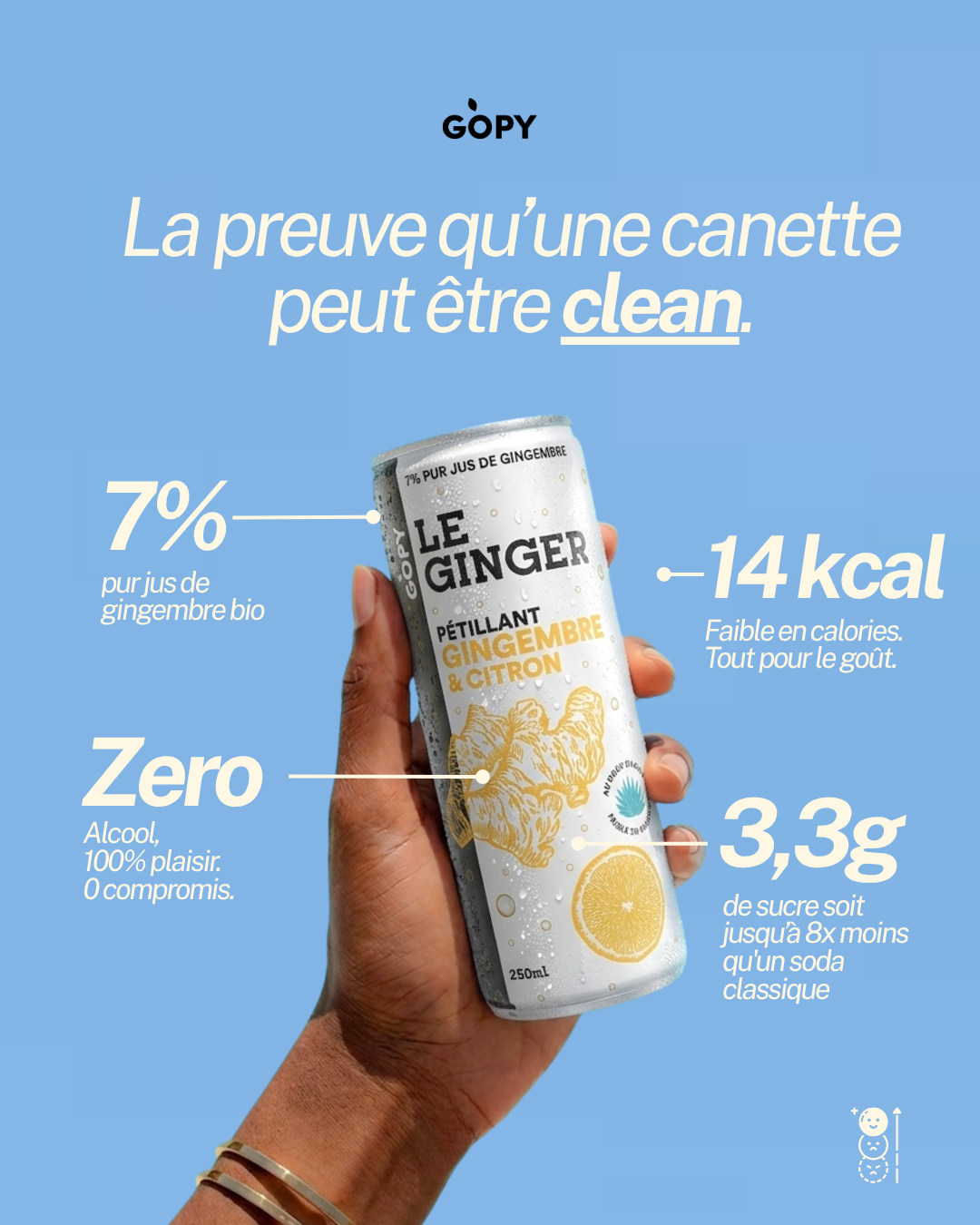 Le Ginger Pétillant — Pack 12 canettes