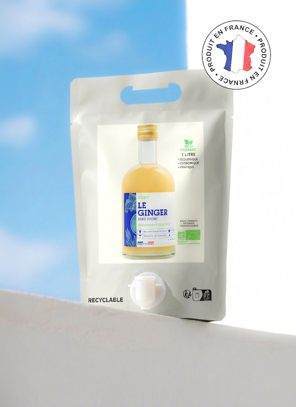 Le Ginger Aloe Vera Réduit en Sucre Pouch 1 litre